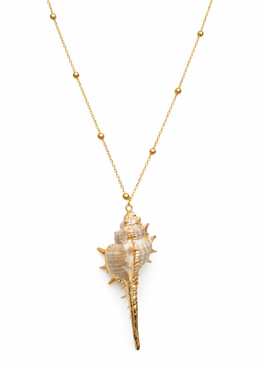 Gold necklace with a large shell pendant on a white background