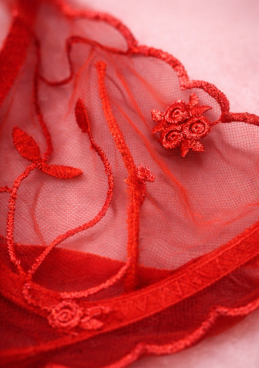 Close-up of red embroidered lingerie with floral patterns on a pink background