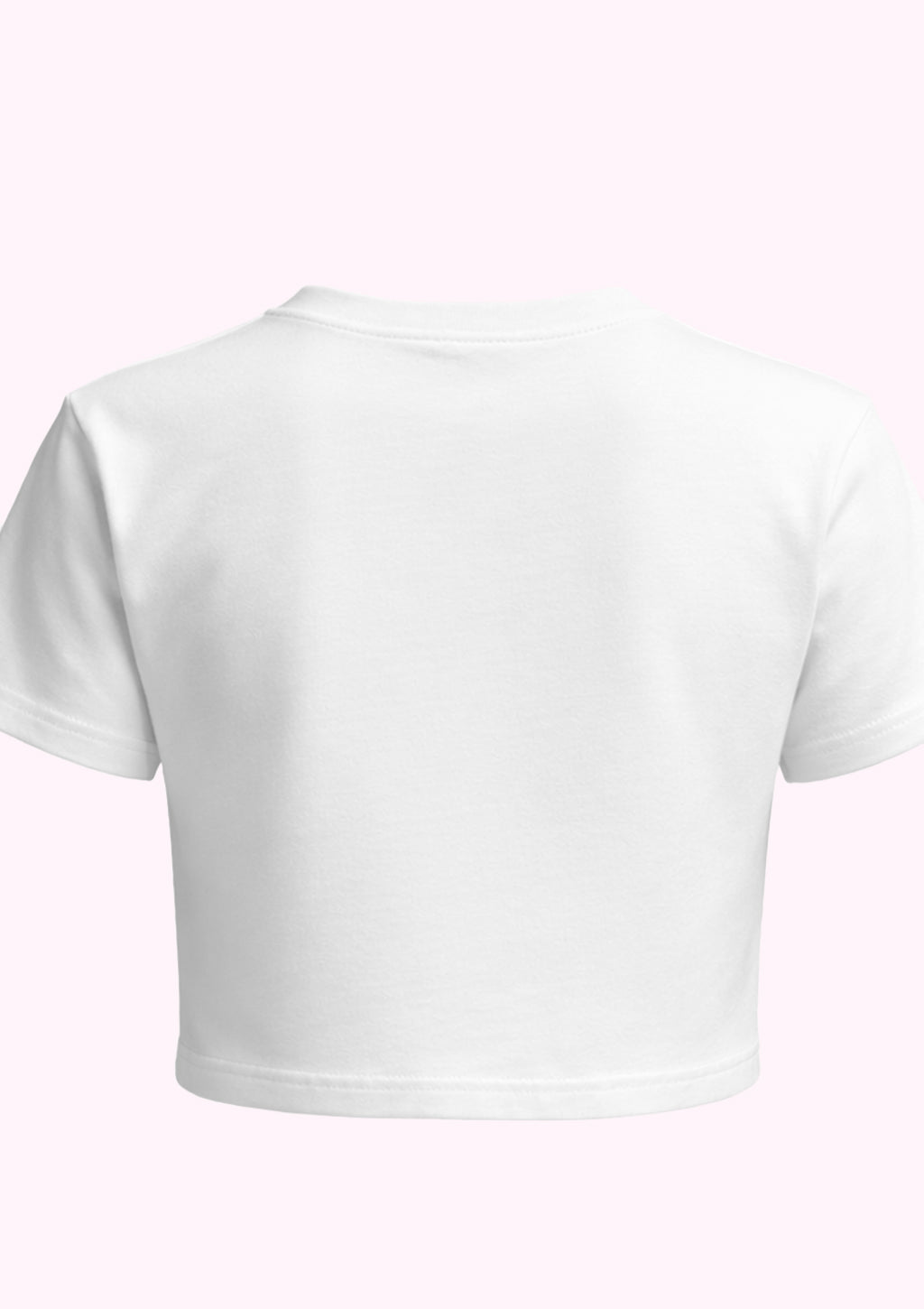 ''I CAME FOR THE HOT DJ'' Crop T-Shirt