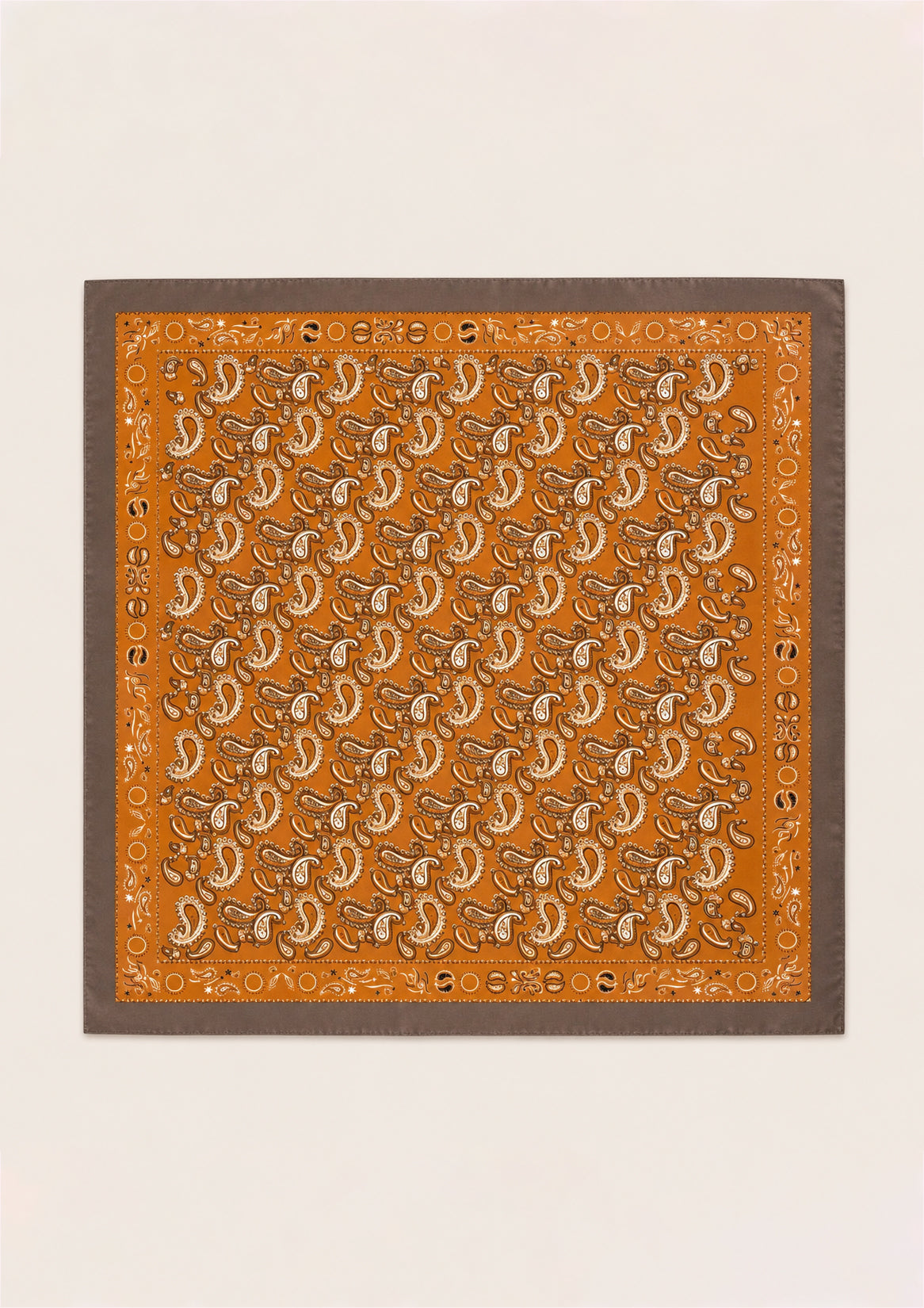 Paisley Satin Scarf in Rust & Brown