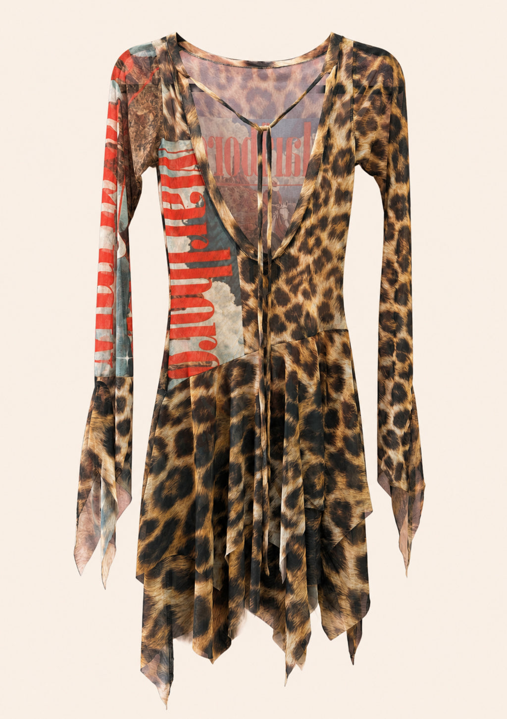 Leopard Print Mesh Mini Dress Stilyana Art
