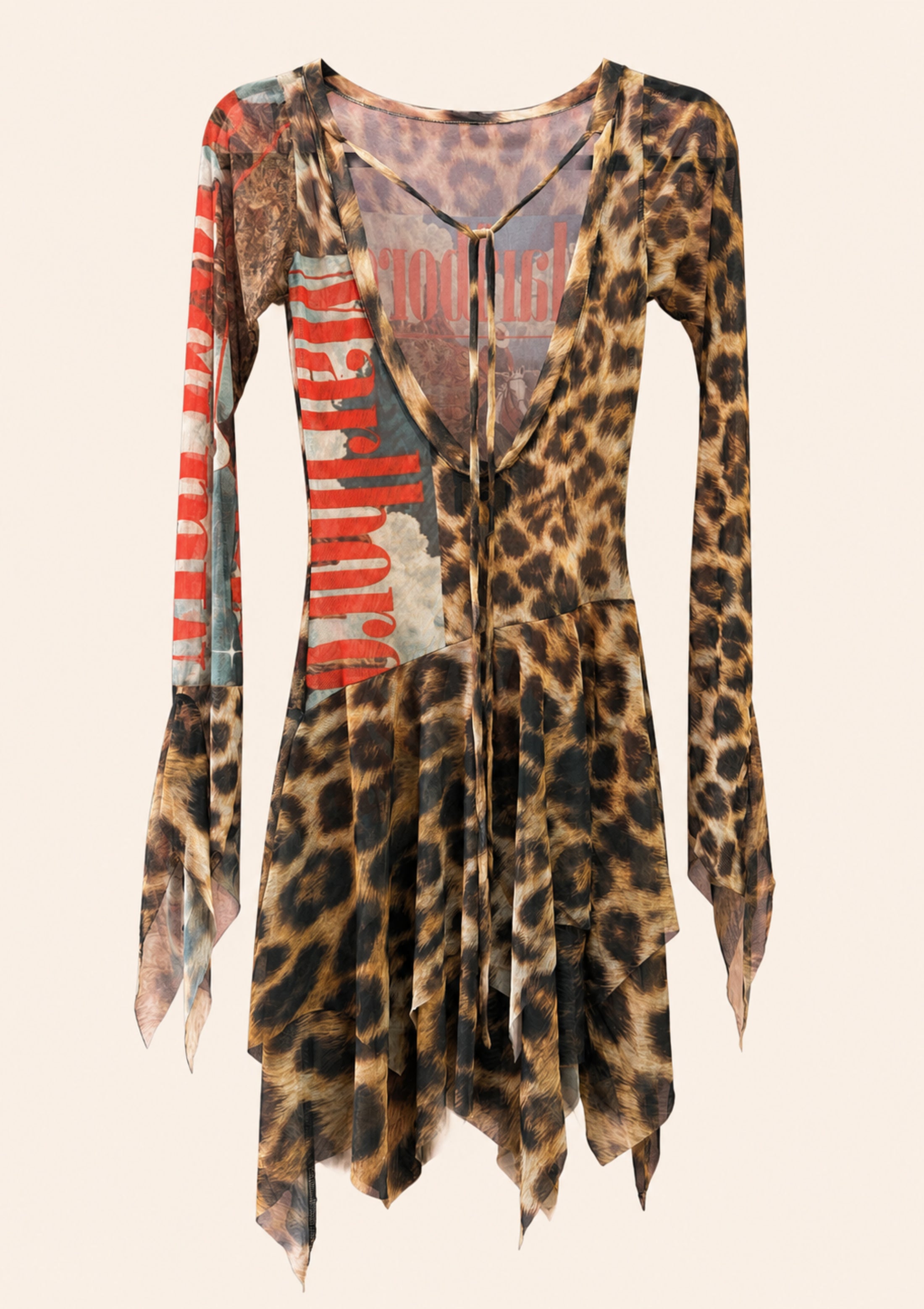 Stilyana Art Leopard Print Mesh Mini Dress