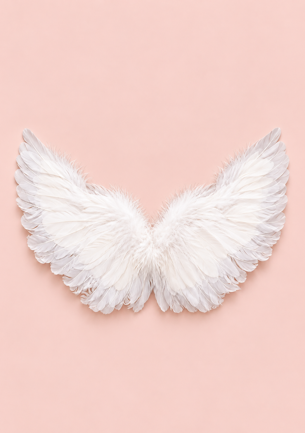 A pair of white feather angel wings displayed against a solid pastel pink background.