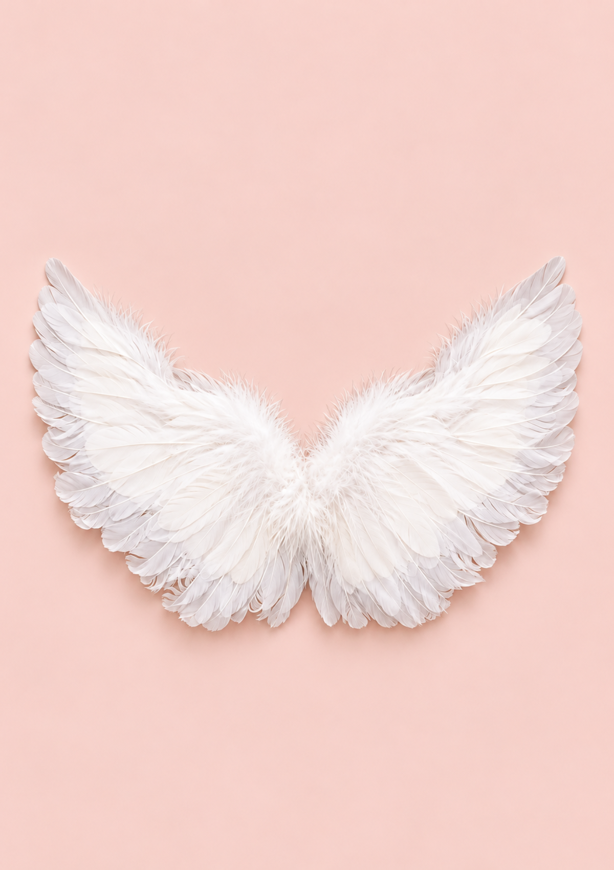 A pair of white feather angel wings displayed against a solid pastel pink background.
